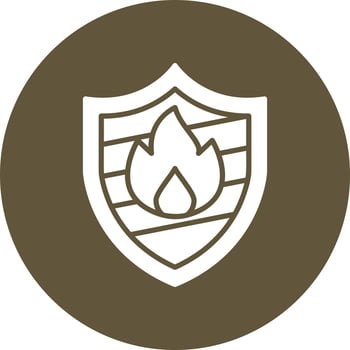 Shield Vector Icon