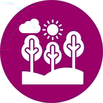 forest Vector Icon
