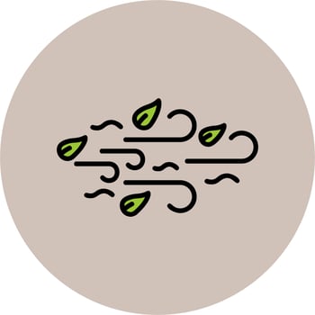 Wind Vector Icon