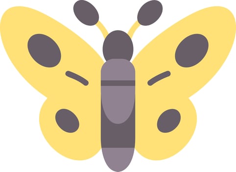 Butterfly Vector Icon