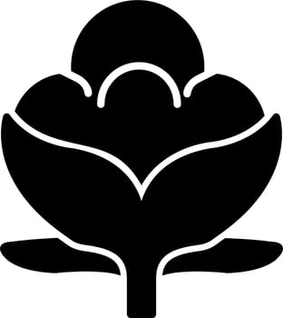 Cotton Vector Icon