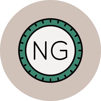 Nigeria Dial code Vector Icon