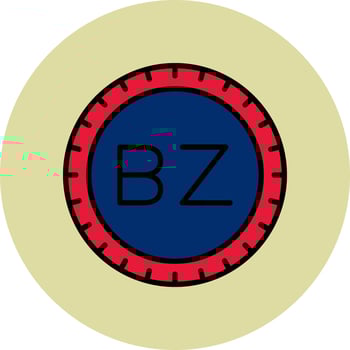 Belize Dial code Vector Icon