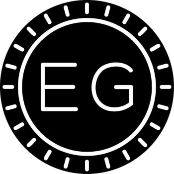 Egypt Dial code Vector Icon