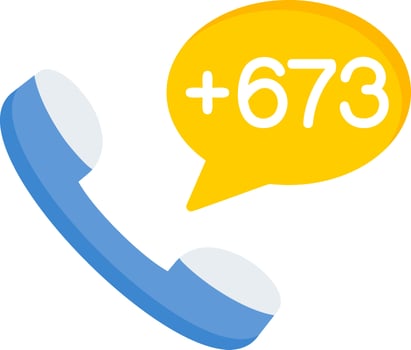 Brunei Dial code Vector Icon