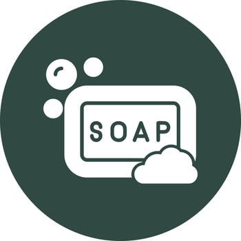 Soap Vector Icon