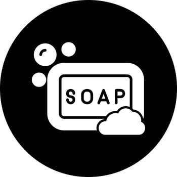 Soap Vector Icon