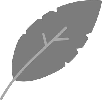 Feather Vector Icon