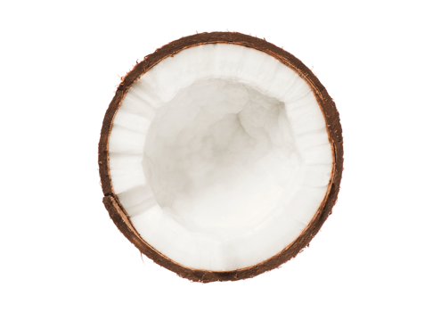 Half coconut fruit isolated on a transparent background png