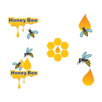 bee with honey  vector illustration