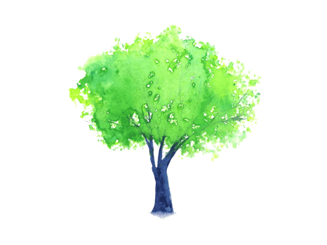 watercolor painting tree. png white background.
