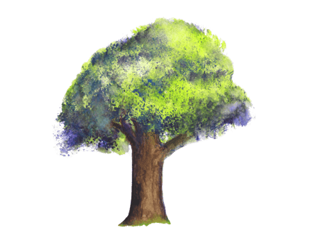 watercolor painting tree green. png white background.