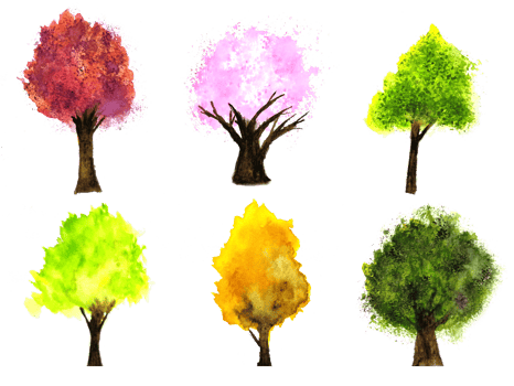 watercolor painting set tree. png white background.