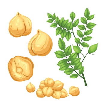 chickpeas food set cartoon vector illustration