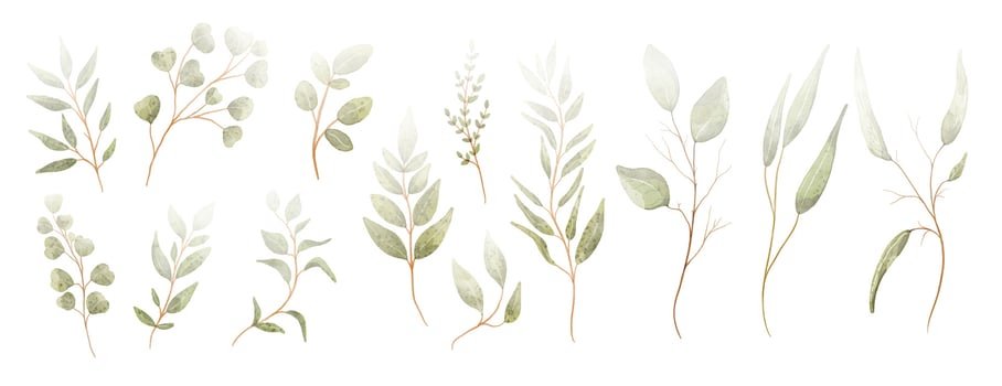 Set of watercolor green leaves elements. Collection botanical vector isolated on white background suitable for Wedding Invitation, save the date, thank you, or greeting card.