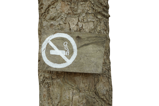 no smoking sign on the tree png