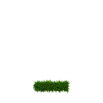 Green grass number and symbol, 3d illustration png