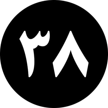 Arabic Number Thirty Eight Vector Icon