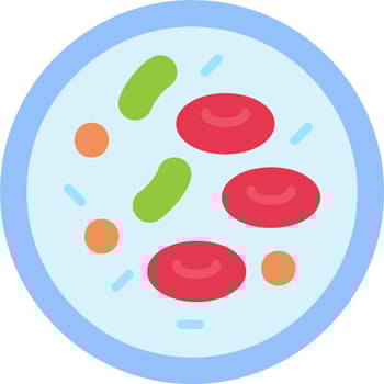 Cells Vector Icon