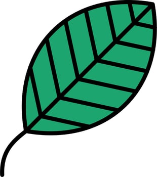 Leaf Vector Icon