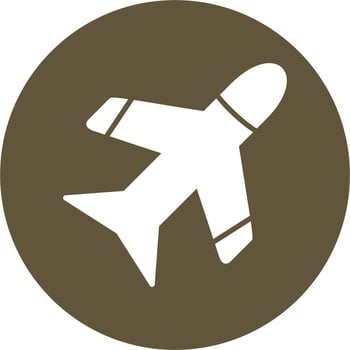Flight Vector Icon
