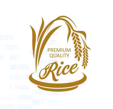Organic rice farm, agriculture company icon vector