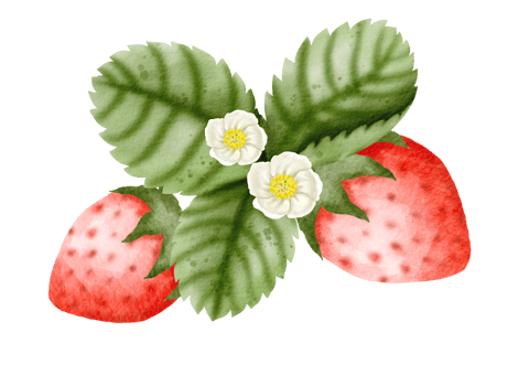 watercolor strawberry hand drawn png