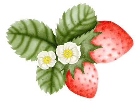 watercolor strawberry hand drawn png