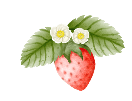 watercolor strawberry hand drawn png