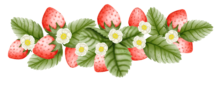 watercolor strawberry hand drawn png