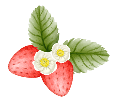 watercolor strawberry hand drawn png