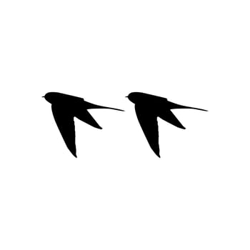 Flying Pair of the Swallow Bird Silhouette for Logo, Pictogram, Website. Art Illustration or Graphic Design Element. Vector Illustration