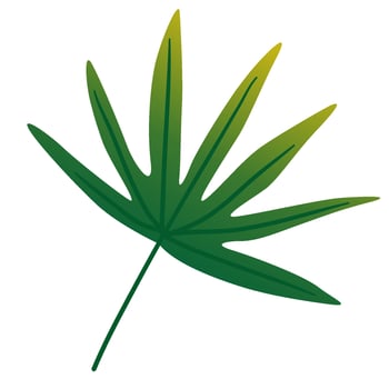 leaf vector cartoon illustration