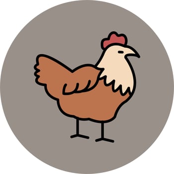 Hen Vector Icon