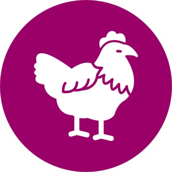 Hen Vector Icon