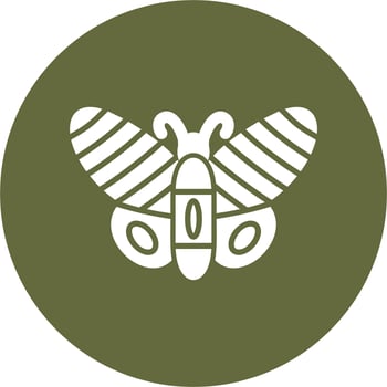 Butterfly Vector Icon
