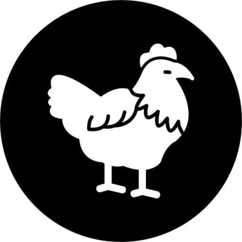 Hen Vector Icon