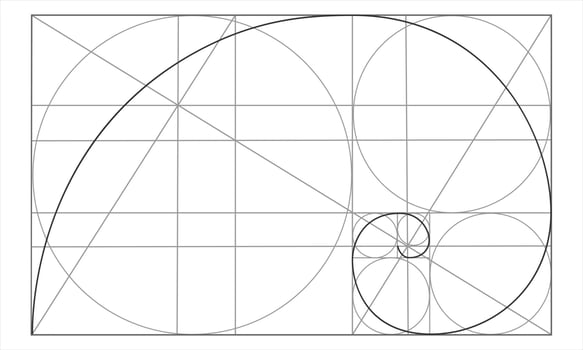 Golden ratio template. Logarithmic spiral in rectangle with circles and crossing lines. Nautilus shell shape. Fibonacci Sequence. Ideal symmetry proportions grid vector