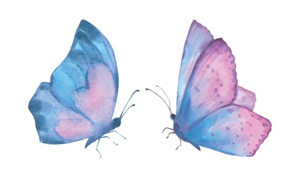 Watercolor vector illustration, delicate cute blue butterflies, isolated on a white background