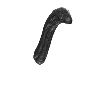Apatosaurus animal isolated on transparent background png