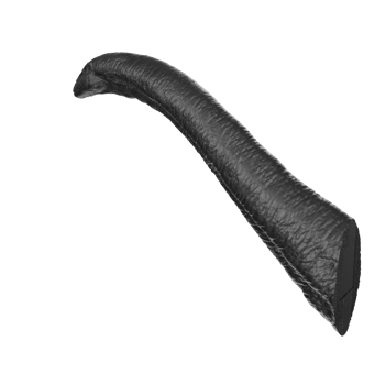 Apatosaurus animal isolated on transparent background png