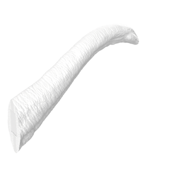 Apatosaurus animal isolated on transparent background png