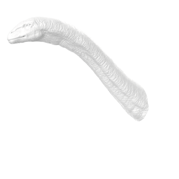 Apatosaurus animal isolated on transparent background png