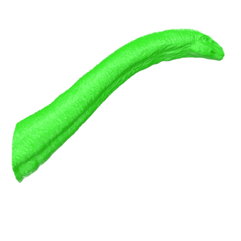 Apatosaurus animal isolated on transparent background png