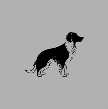Black silhouette Vector design of a dog isolated on white background