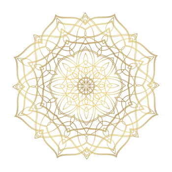 Hand drawn circular floral mandala pattern for Henna, Mehndi, tattoo, decoration. Decorative ornament in ethnic oriental style. Outline doodle hand draw vector anti-stress png