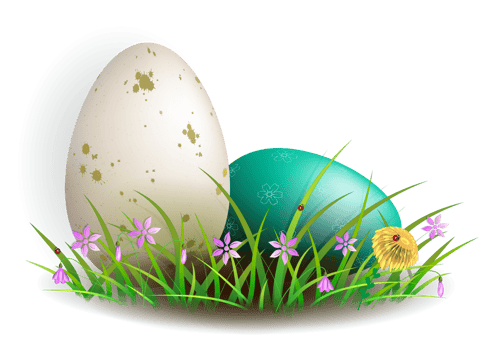Easter composition with a white and turquoise egg with a pattern, grass and flowers. png