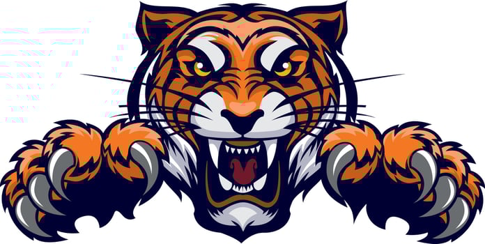 Angry tiger head. Vector illustration for use as print, poster, sticker, logo, tattoo, emblem and other.
