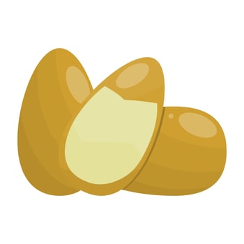 Binjai Fruit Is A Fruit That Has A Sour And Sweet Taste. This Fruit Is Found In Southeast Asia vector