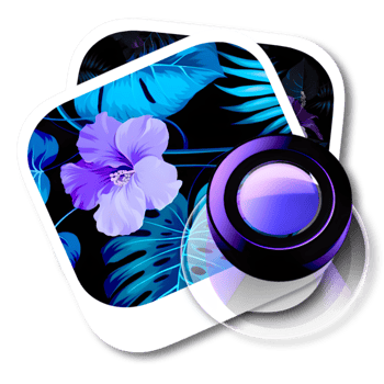 Photo Gallery Viewer png